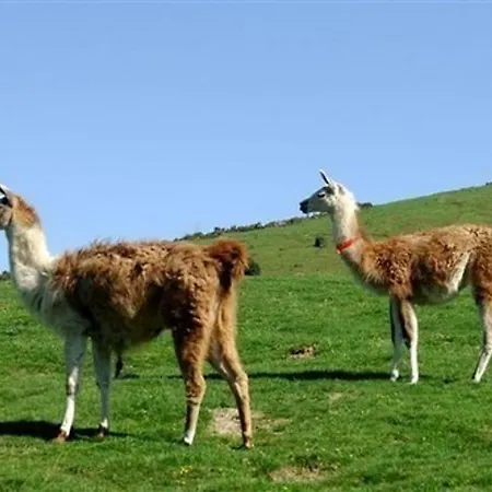 4 Pers - Parking, Piscine, Fitness, Proche Pistes - Fr-1-404-313 Daire *