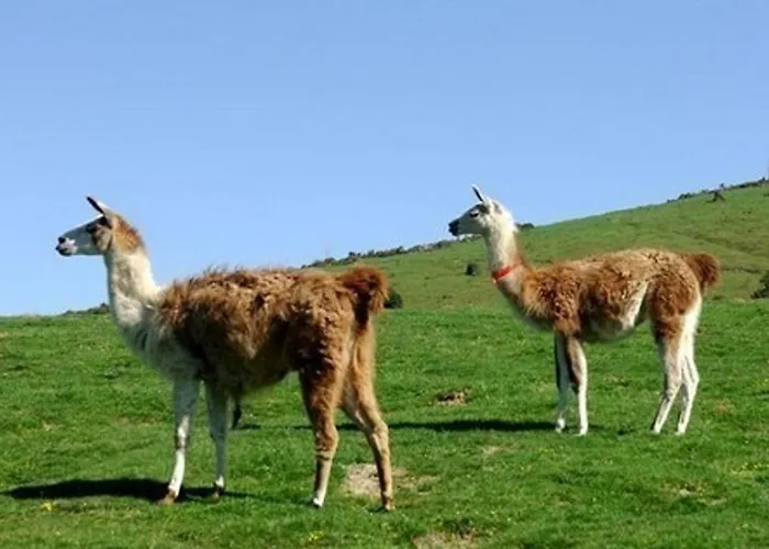 4 Pers - Parking, Piscine, Fitness, Proche Pistes - Fr-1-404-313 Appartement *